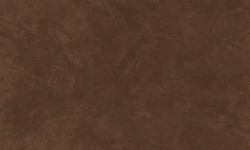 Decorazza STUCCO VENEZIANO / Цвет #SV  10-92